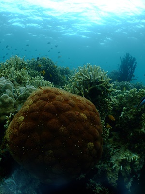 b0033573_22060305.jpg