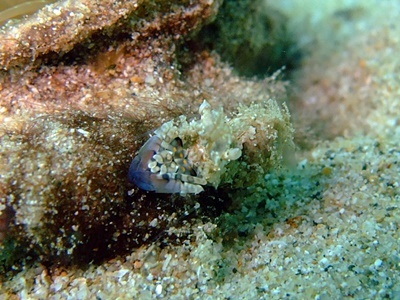 b0033573_22070113.jpg