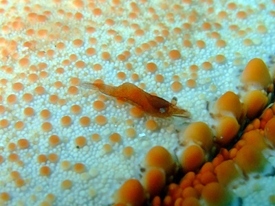 b0033573_22071898.jpg