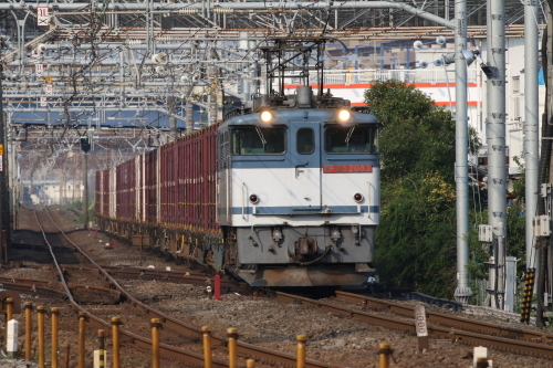 d0187275_19204919.jpg