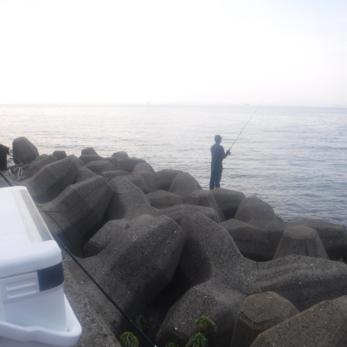 d0174683_00363718.jpeg