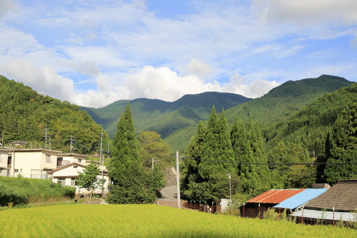 c0358784_20394736.jpg