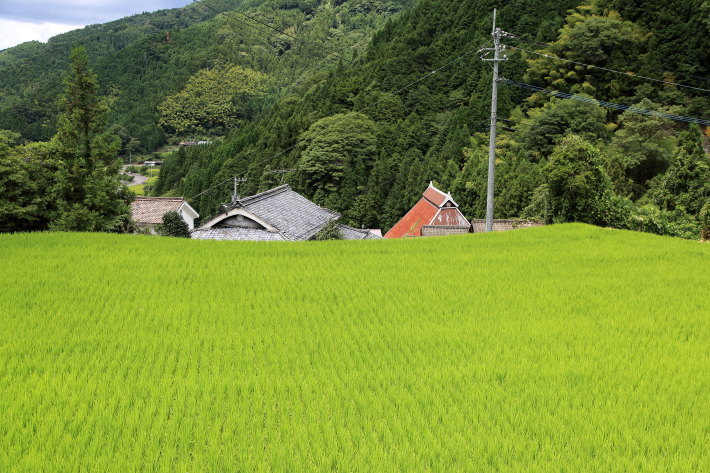 c0358784_20414002.jpg