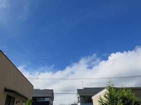 e0130185_9161799.jpg