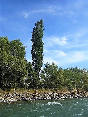 e0159392_11113912.jpg