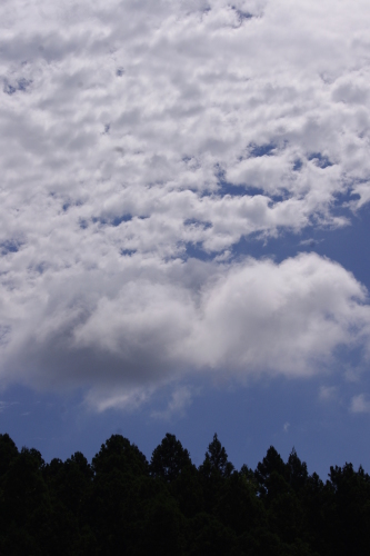 c0337494_17073011.jpg