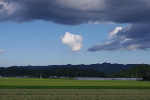 c0337494_17074814.jpg