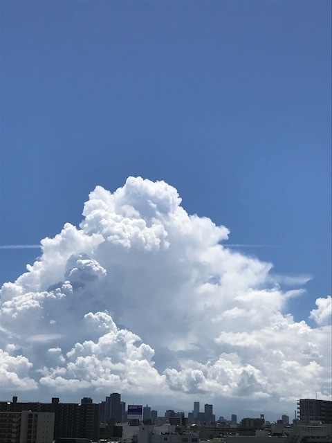 f0204295_12324706.jpg