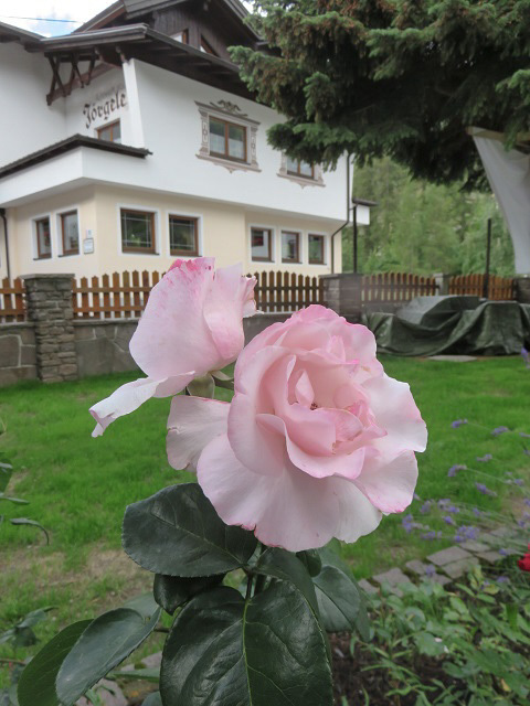 f0346196_18081355.jpg