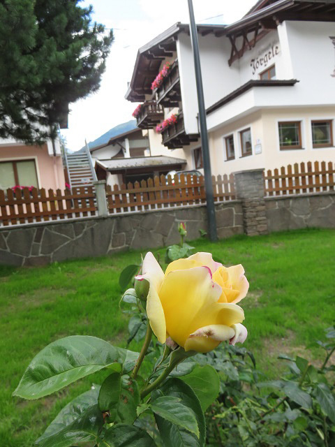 f0346196_18083355.jpg