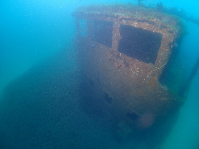 e0115199_12431611.jpg