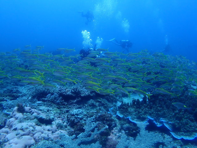 e0115199_19295308.jpg