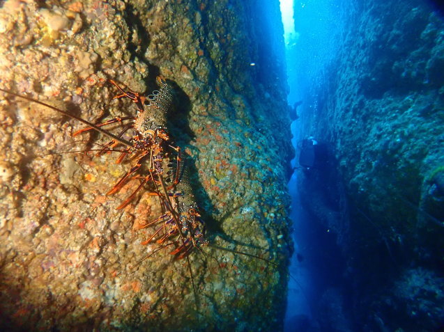 e0115199_19302387.jpg