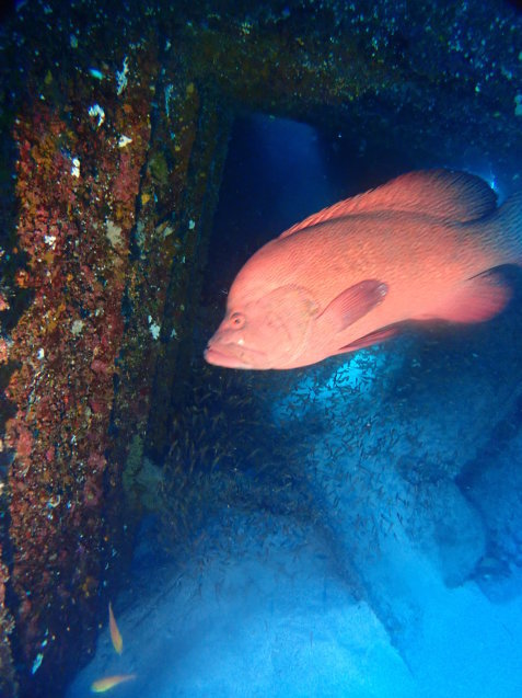 e0115199_19324473.jpg