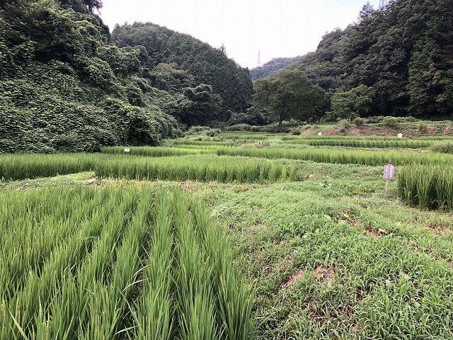 c0124100_21393766.jpg