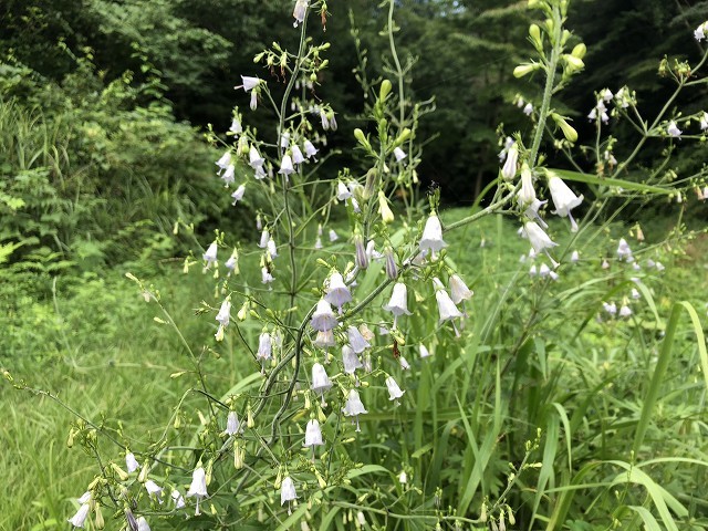 c0124100_21395391.jpg