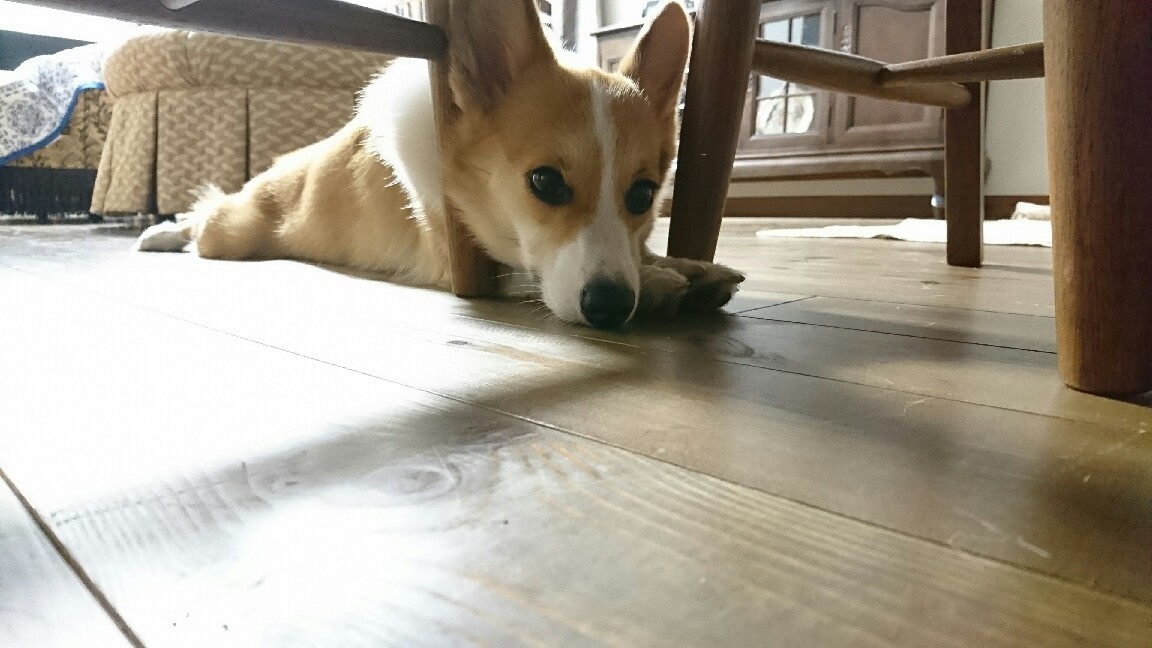 f0371101_22161122.jpg