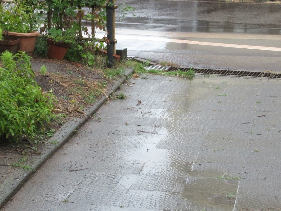 a0203003_14375913.jpg