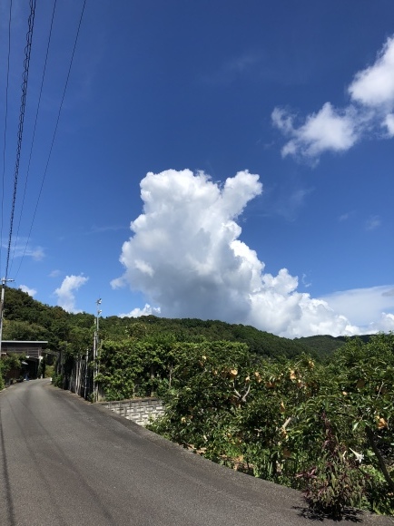 d0237309_21282397.jpeg