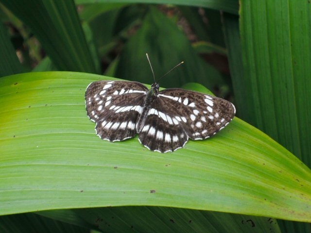 f0373109_09132110.jpg