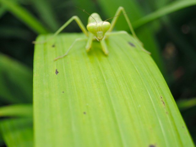 f0373109_09135351.jpg