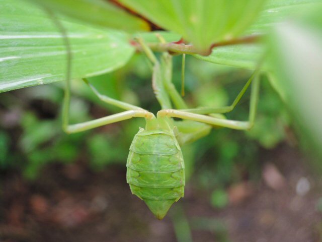 f0373109_09141064.jpg