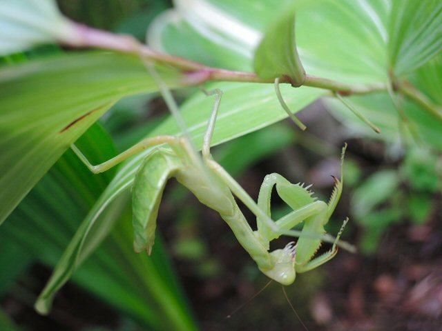 f0373109_09144388.jpg