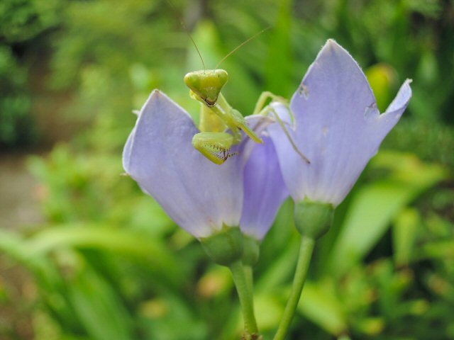 f0373109_09150838.jpg