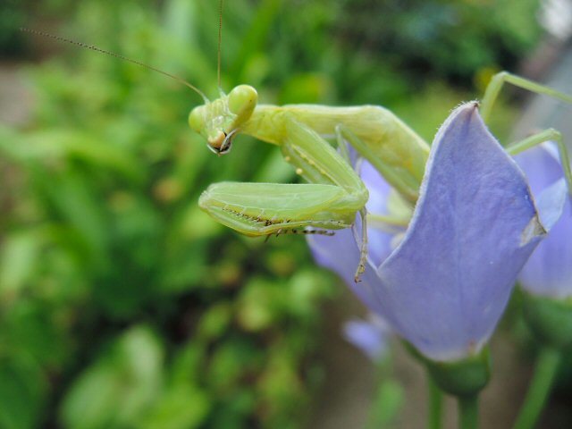 f0373109_09153626.jpg