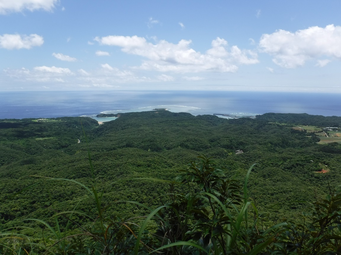 d0006512_13463288.jpg