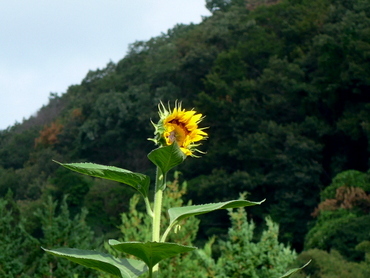 a0238314_20284189.jpg