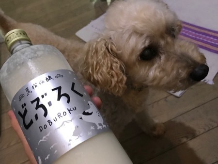 腸活、私の場合_a0077315_14463936.jpg