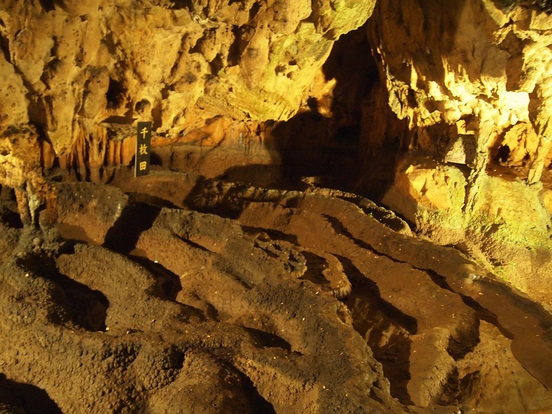d0295818_21133488.jpg