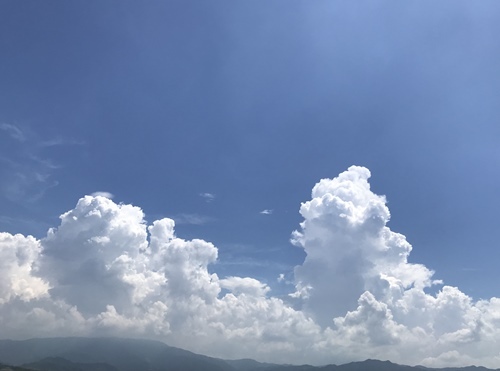f0251618_20244427.jpg