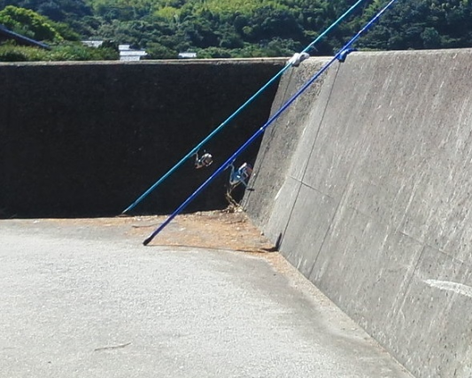 e0117319_20115156.png