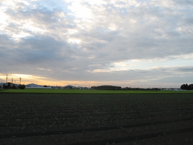 f0143123_10550896.jpg