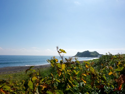 c0204725_1753158.jpg