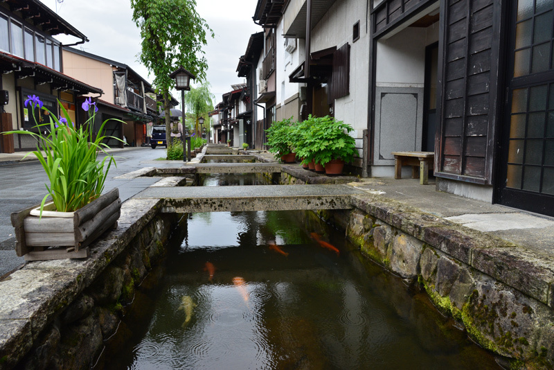 2018 (28) 最終編  岐阜県飛騨古川・関市板取・山県市-奈良県葛城市・御所市　春のくるま旅_a0216227_08350528.jpg