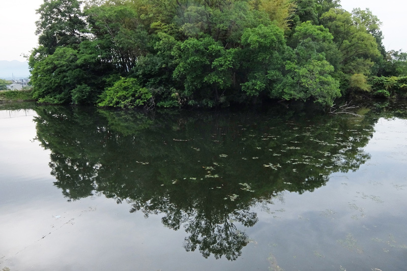 2018 (28) 最終編  岐阜県飛騨古川・関市板取・山県市-奈良県葛城市・御所市　春のくるま旅_a0216227_12260954.jpg