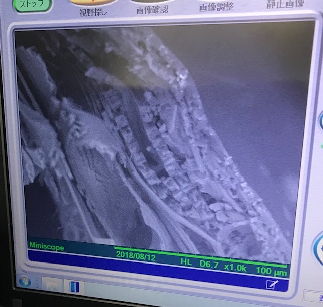 f0177529_08012947.jpeg