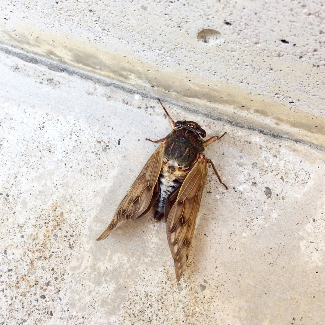 d0269832_13594947.jpeg