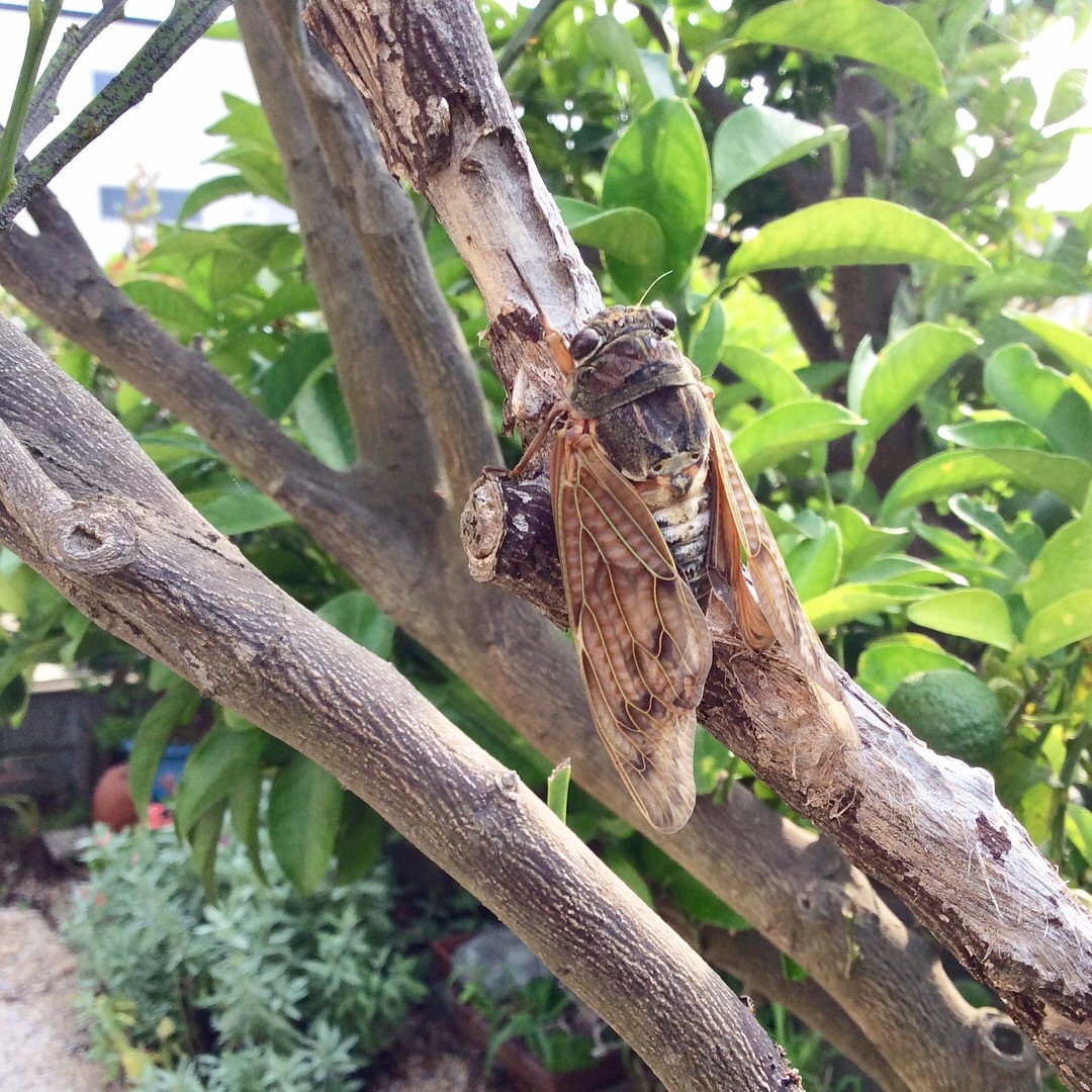 d0269832_14063375.jpeg