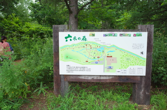 a0287336_21471830.jpg