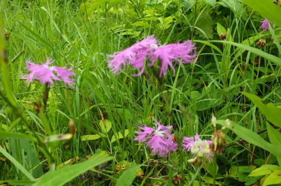 a0287336_22052977.jpg