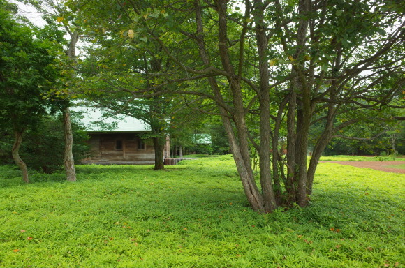 a0287336_22081051.jpg