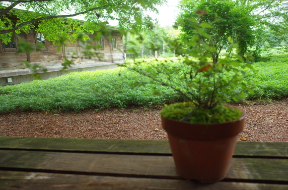 a0287336_22090099.jpg