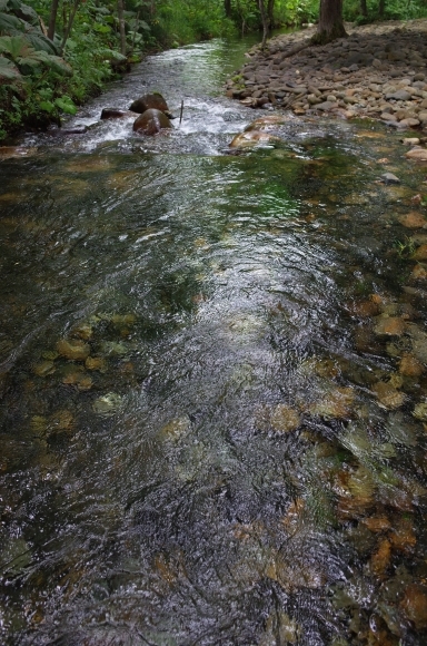 a0287336_22101227.jpg