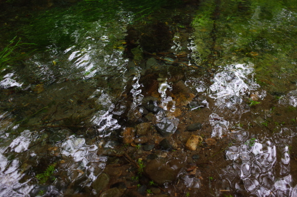 a0287336_22115097.jpg