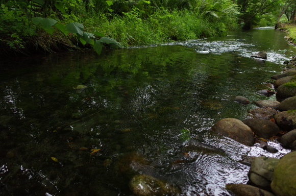 a0287336_22150780.jpg
