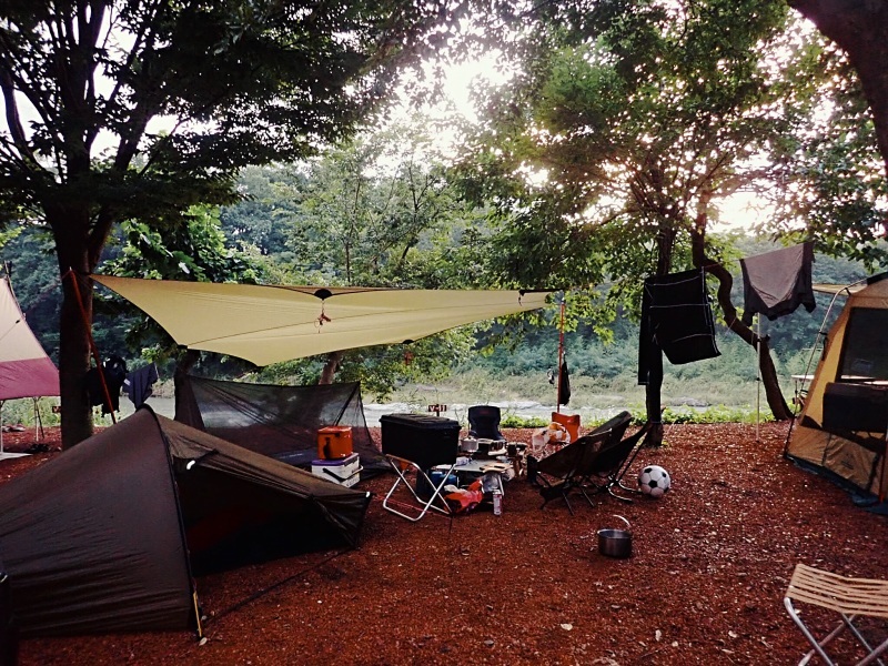 b0242839_17165762.jpeg